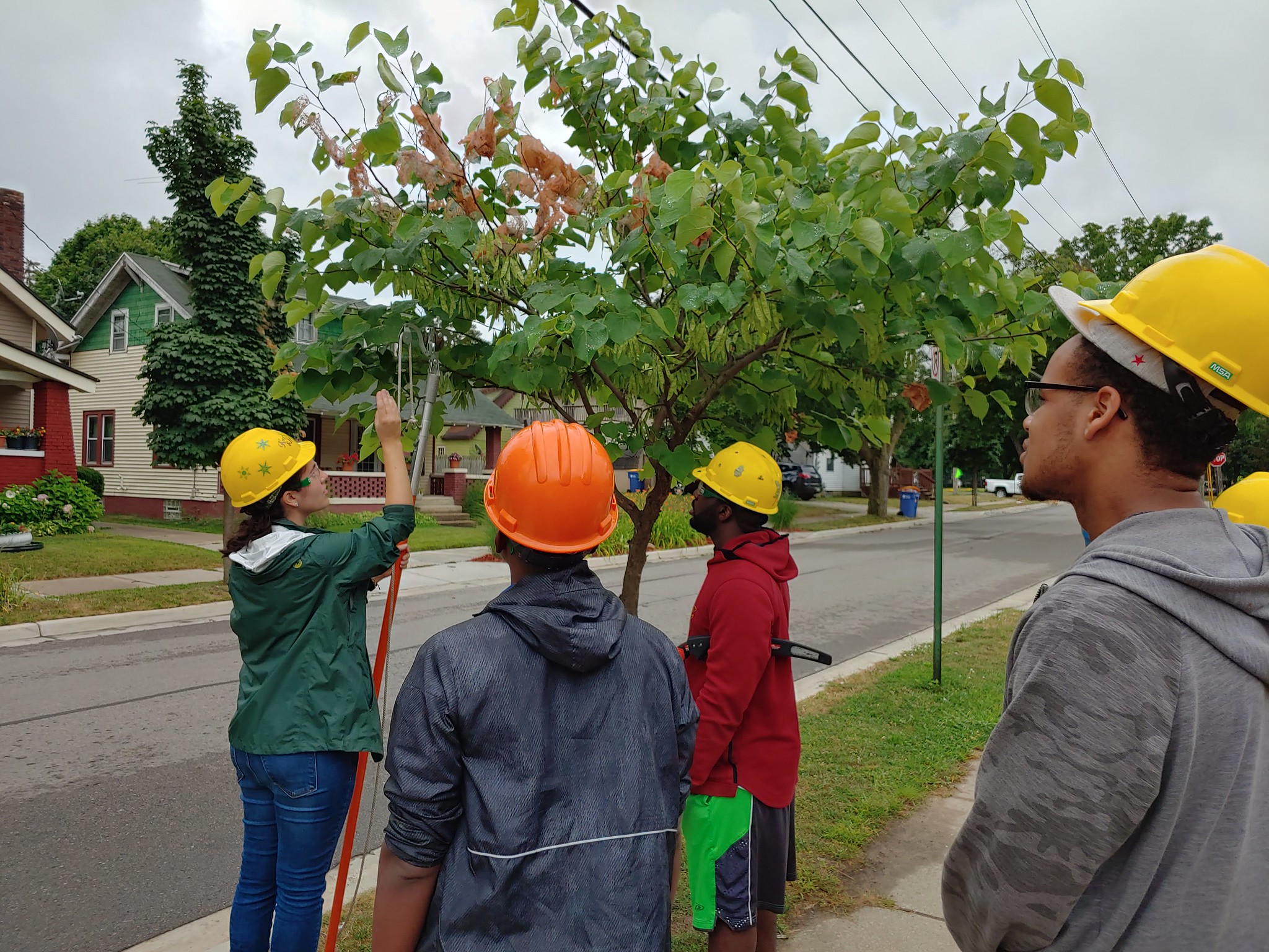 Tori Power, Friends of the Grand Rapids Parks, demonstrates pruning techniques to MSU Forestry students during the department’s summer 2019 study away program. Pictured left to right: Tori Power, Davien Graham, Mario Singleton and Derrick Wade.